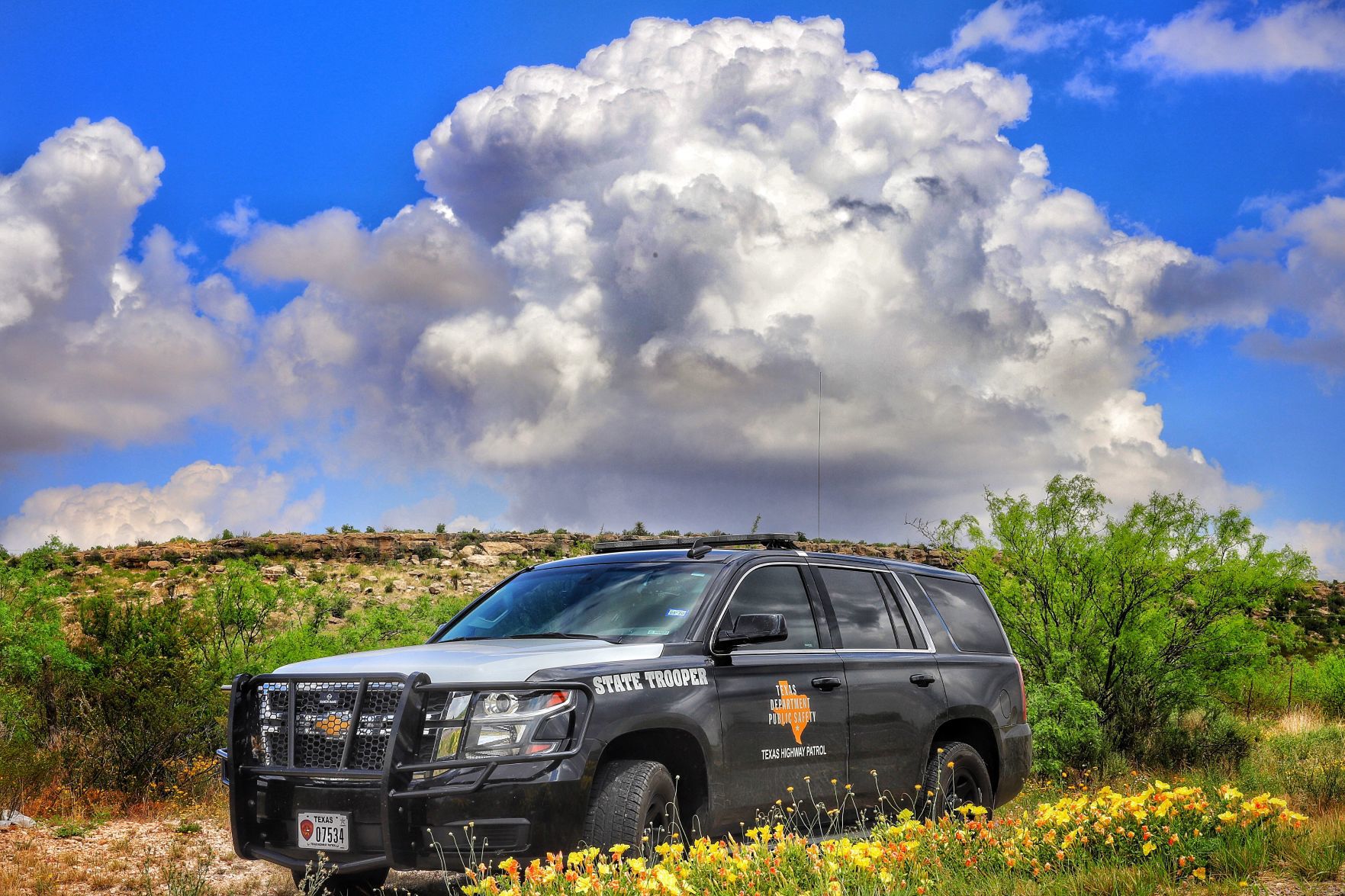 Texas Department of Public Safety